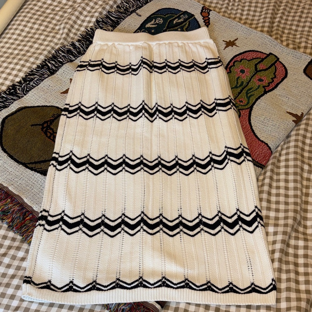 Francesca’s Chevron Print Knit Midi Skirt